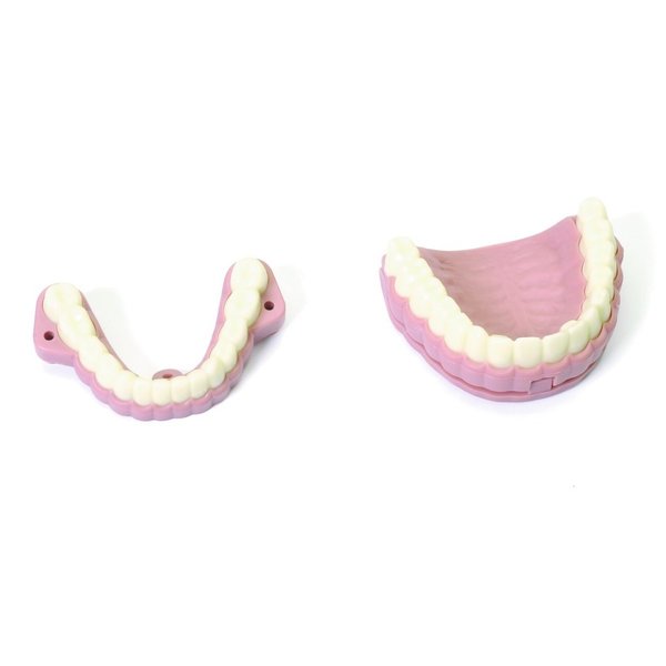 Laerdal Teeth ridges & audio 252010